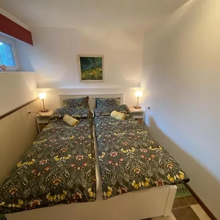 Apartment Plavu 16 *