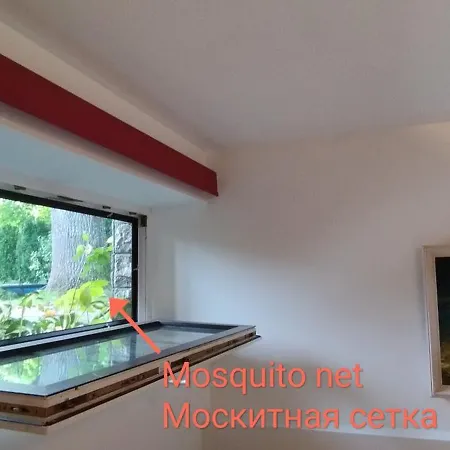 Plavu 16 *